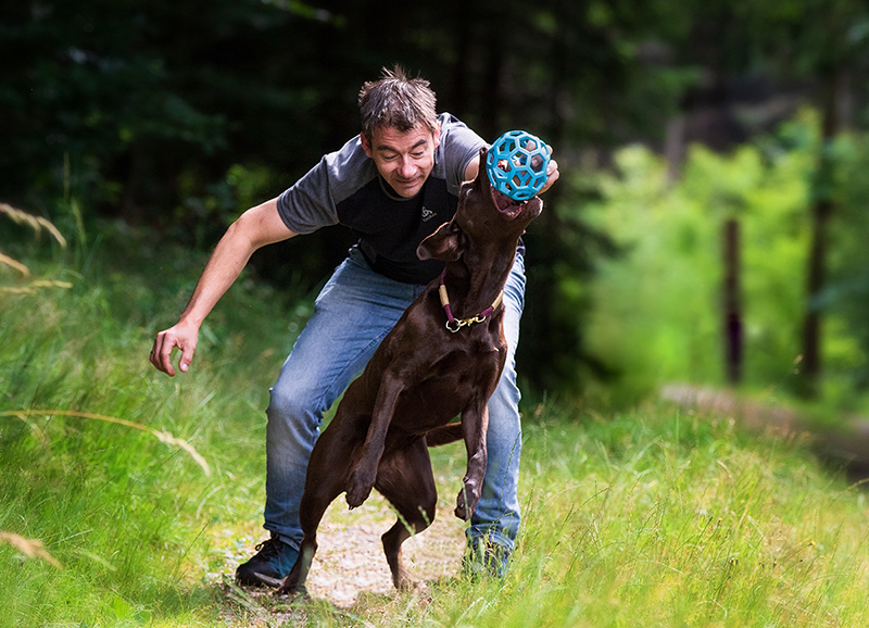 Hunde Fotoshooting Nördlingen Fotograf Wemding (2) Hunde Fotoshooting Nördlingen Fotograf Wemding